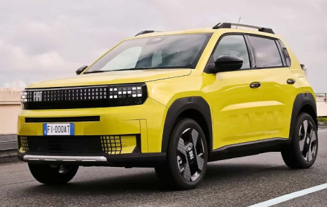 Noleggio a lungo termine Fiat Grande Panda Benzina Business