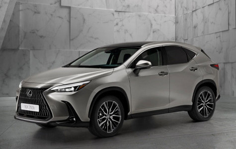 Noleggio a lungo termine Lexus NX Hybrid Business 4WD