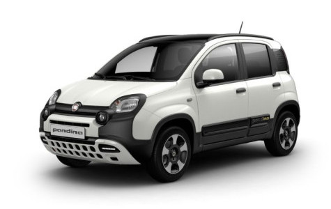 Noleggio a lungo termine Fiat Pandina 1.0 FireFly 65cv