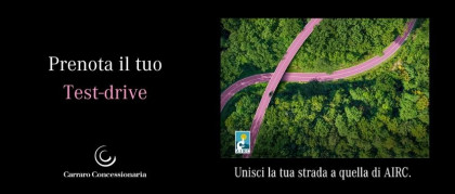 She's Mercedes: La ricerca fa strada